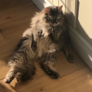 Meet your Posher, Cindy